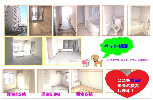 ������̂RLDK�A�݃}���V����